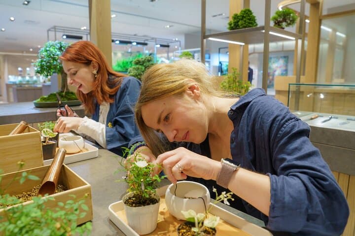 Tokyo: Bonsai Making Experience with Bonsai Master — photo 5