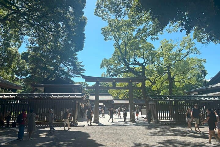 Tokyo Harajuku Walking Tour Meiji Jingu Yoyogi Park and More — photo 3