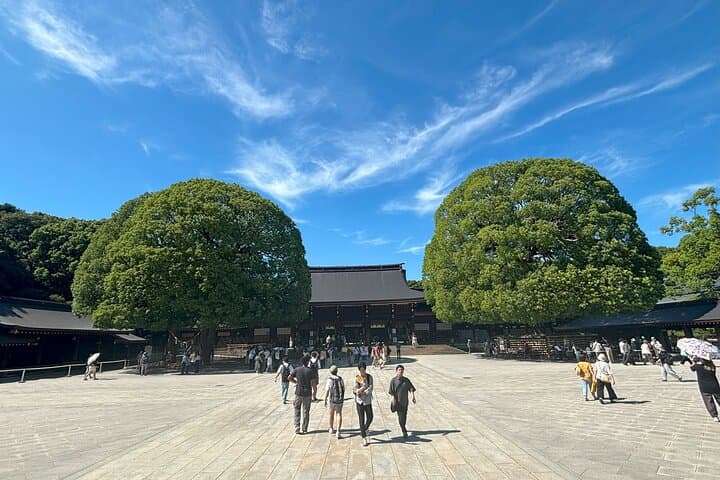 Tokyo Harajuku Walking Tour Meiji Jingu Yoyogi Park and More — photo 9