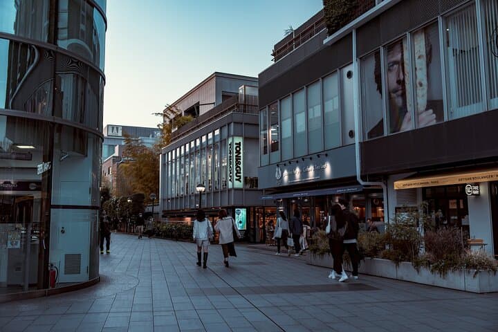 Tokyo Harajuku Walking Tour Meiji Jingu Yoyogi Park and More — photo 4