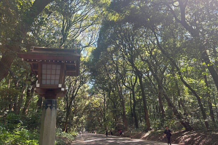 Tokyo Harajuku Walking Tour Meiji Jingu Yoyogi Park and More — photo 12
