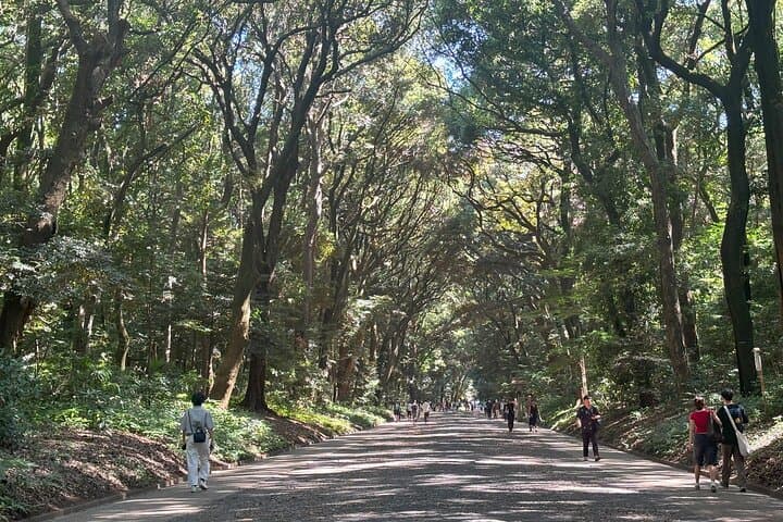 Tokyo Harajuku Walking Tour Meiji Jingu Yoyogi Park and More — photo 14