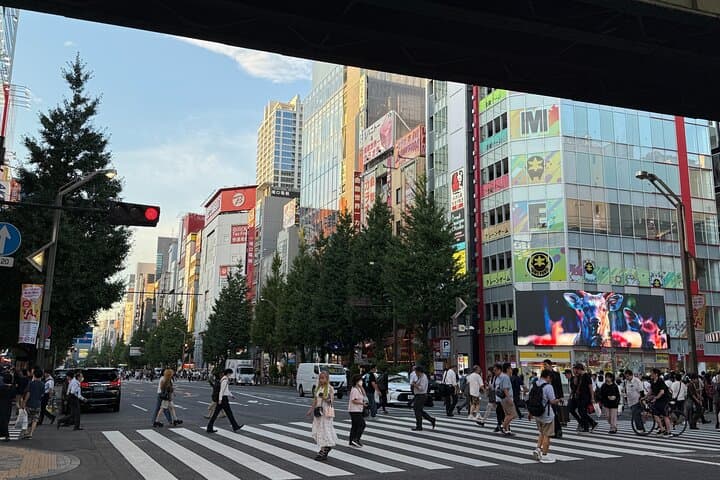 Akihabara Trading Card Shopping Tour with Local Guide — photo 5