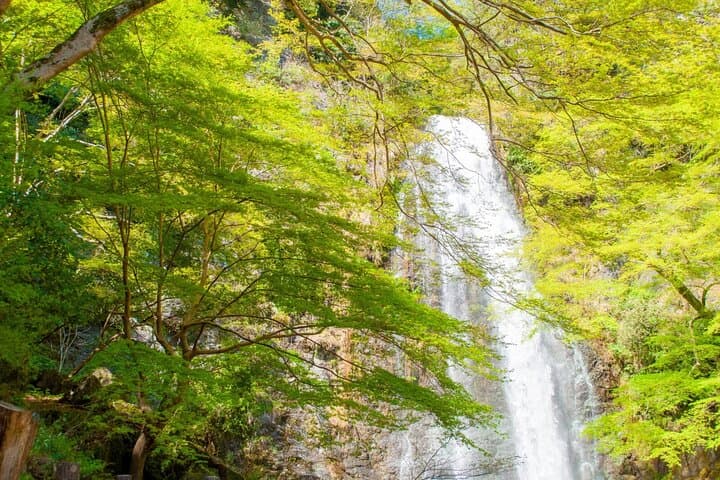 Osaka's Secret Adventures: Daruma Magic and Minoh Falls — photo 11