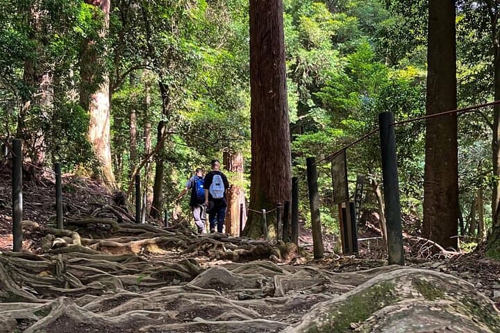 Hike and explore the Kurama and Kibune ancient Paths — photo 4