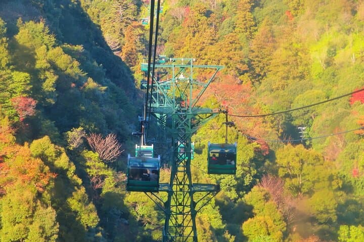 1-Day Miyajima Sightseeing Tour — photo 7