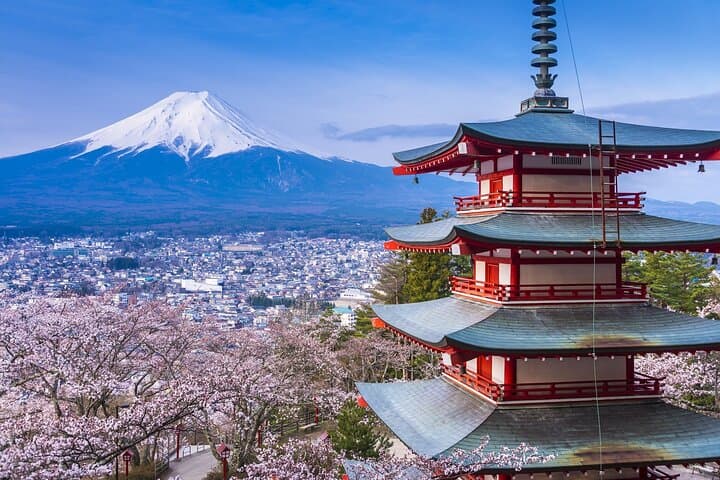 From Tokyo:Mount Fuji Lake Kawaguchi, Oshino Hakkai,Shrine Tour — photo 5