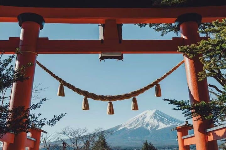 From Tokyo:Mount Fuji Lake Kawaguchi, Oshino Hakkai,Shrine Tour — photo 6
