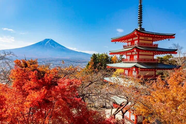 From Tokyo:Mount Fuji Lake Kawaguchi, Oshino Hakkai,Shrine Tour — photo 7