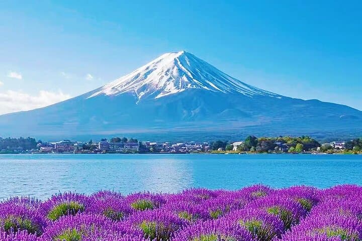 From Tokyo:Mount Fuji Lake Kawaguchi, Oshino Hakkai,Shrine Tour — photo 11