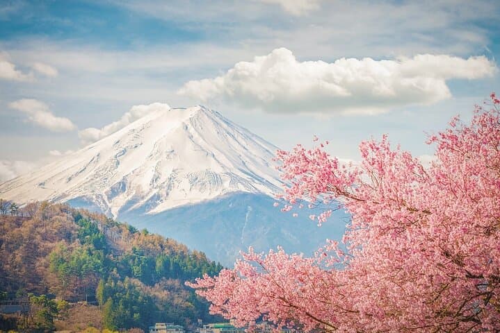 From Tokyo:Mount Fuji Lake Kawaguchi, Oshino Hakkai,Shrine Tour — photo 12