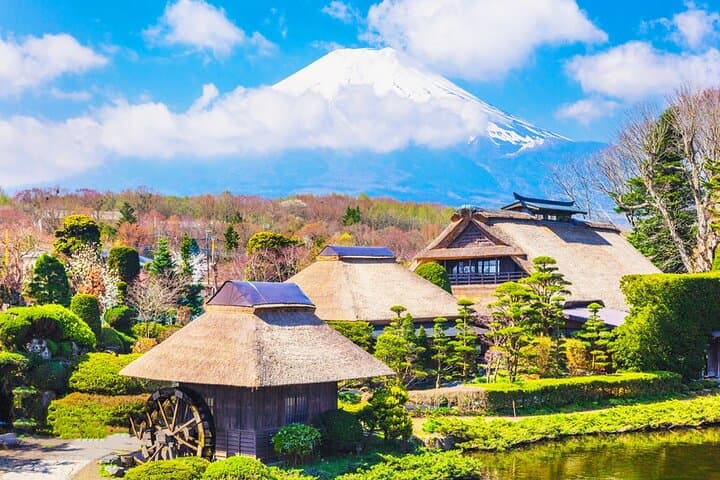 From Tokyo:Mount Fuji Lake Kawaguchi, Oshino Hakkai,Shrine Tour — photo 14