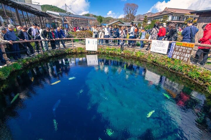 From Tokyo:Mount Fuji Lake Kawaguchi, Oshino Hakkai,Shrine Tour — photo 15