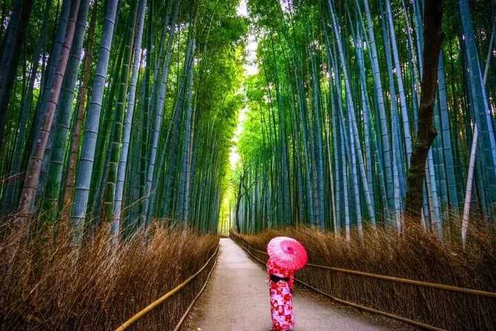 Katsuo-ji, Minoo Falls, Todai-ji, Arashiyama & Nara Park Day Tour — photo 15