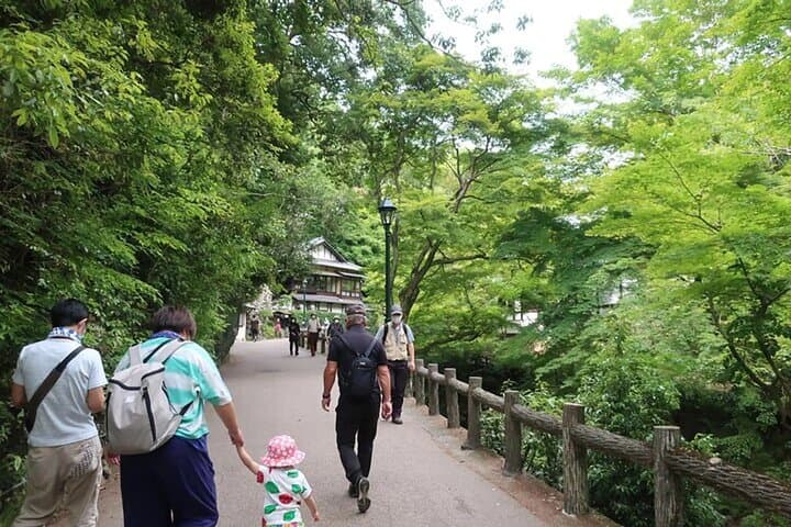 Katsuo-ji, Minoo Falls, Todai-ji, Arashiyama & Nara Park Day Tour — photo 18