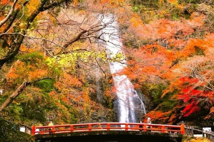Katsuo-ji, Minoo Falls, Todai-ji, Arashiyama & Nara Park Day Tour — photo 11