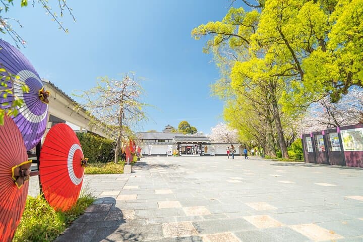 Kumamoto Castle Suizenji Garden and Aso Full-Day Tour Option — photo 17