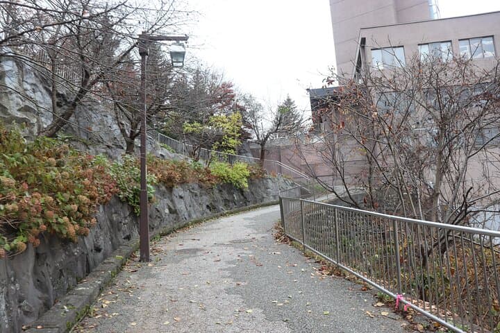 Sapporo: Jozankei Onsen Walk with Temple & Cave Visit — photo 10