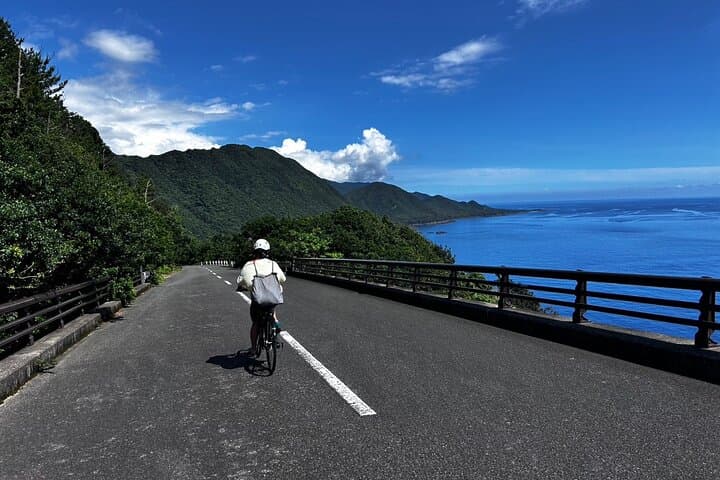 Yakushima Electric Bike Rentals — photo 3