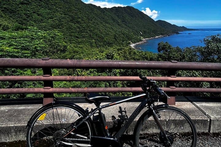 Yakushima Electric Bike Rentals — photo 6