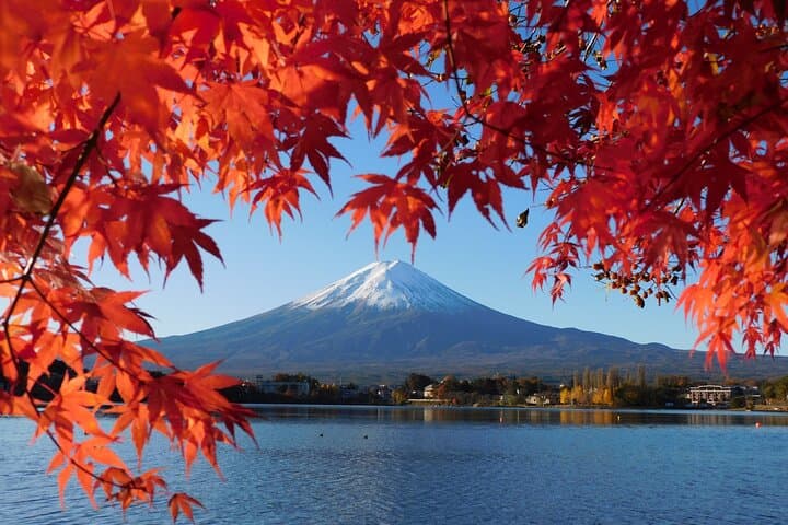 Mt Fuji and Lake Kawaguchi 1-Day Luxury Bus Tour From Tokyo — photo 18