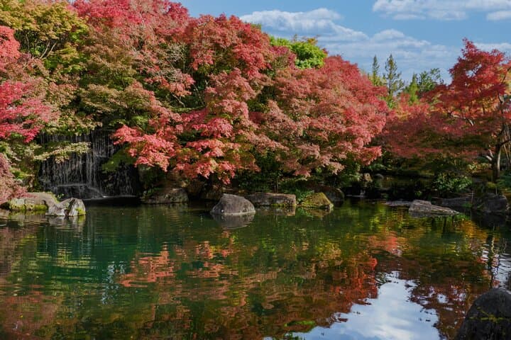 Himeji Castle, Arima Onsen & Mt. Rokko: 1-Day Bus Tour from Osaka — photo 7