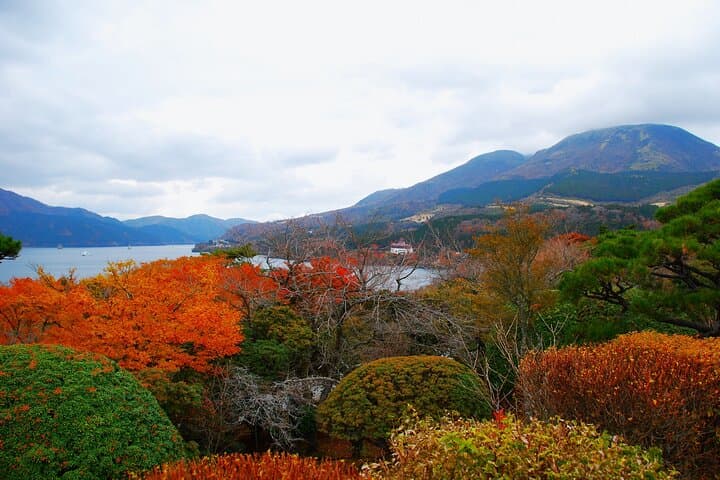 Mt Fuji and Hakone 1-Day Bus Tour Return by Shinkansen — photo 20
