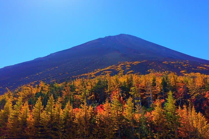 Tokyo: Mt. Fuji, Oshino Hakkai and Gotemba Outlets 1-Day Bus Tour — photo 9