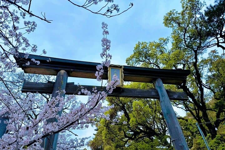 Fukuoka: Kyushu day tour with Mojiko port, Kokura Castle ,Shrine — photo 14