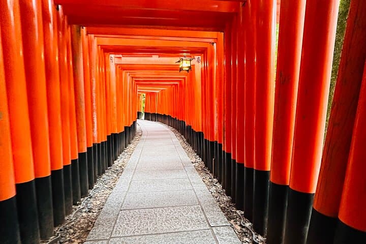Kyoto Private Customizable Day Trip With English chauffeur — photo 2