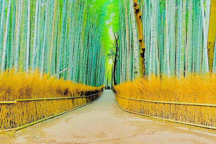 Kyoto Highlights Private Car Day Tour with English Speaking Guide — photo 4