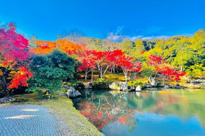Kyoto Highlights Private Car Day Tour with English Speaking Guide — photo 9