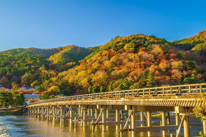 Kyoto Day Tour to Arashiyama, Fushimi Inari and Nara Deer Park — photo 13