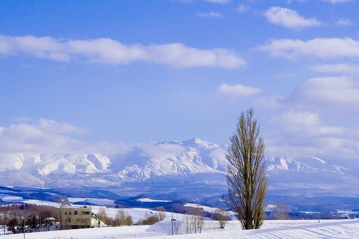 Luxury Hokkaido Day Tour to Asahiyama Zoo and Biei Blue Pond — photo 8