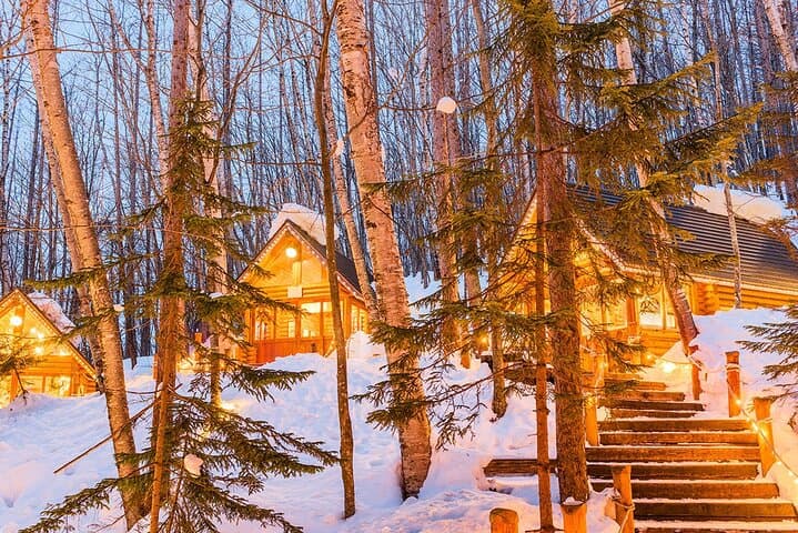 Luxury Hokkaido Day Tour to Asahiyama Zoo and Biei Blue Pond — photo 12