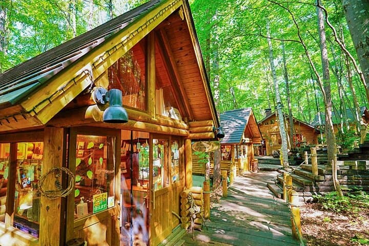 Luxury Hokkaido Day Tour to Asahiyama Zoo and Biei Blue Pond — photo 13