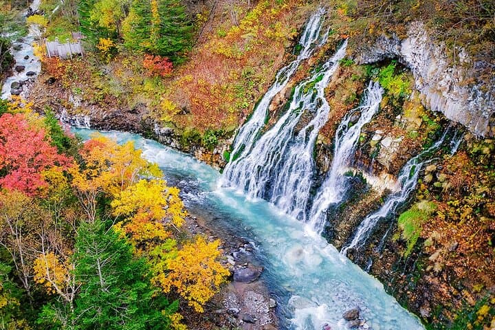Luxury Hokkaido Day Tour to Asahiyama Zoo and Biei Blue Pond — photo 15