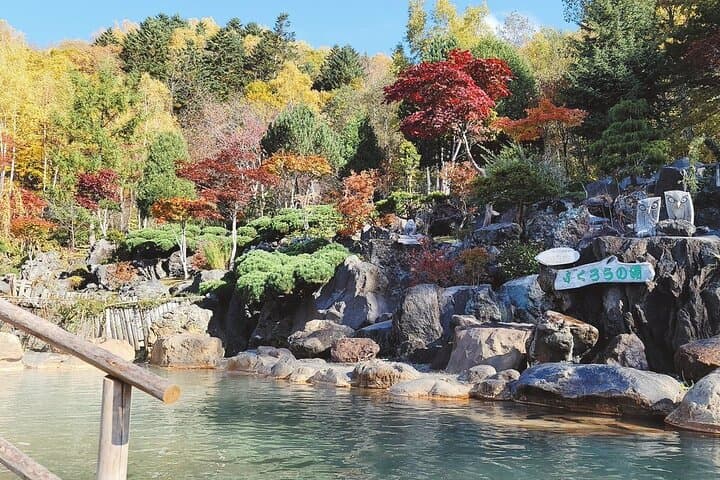 All-Season Hoheikyo Onsen Sapporo: Hot Spring, Nature & Culture — photo 6