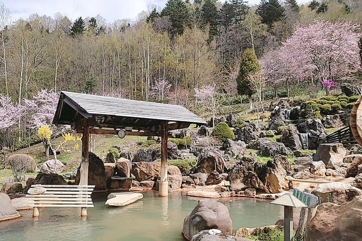 All-Season Hoheikyo Onsen Sapporo: Hot Spring, Nature & Culture — photo 2