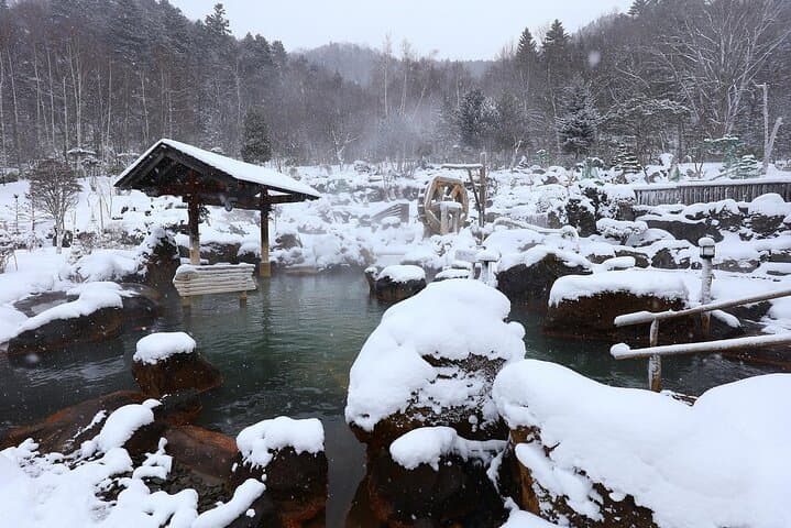 All-Season Hoheikyo Onsen Sapporo: Hot Spring, Nature & Culture — photo 7