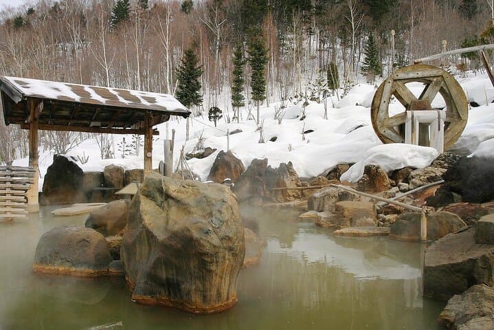 All-Season Hoheikyo Onsen Sapporo: Hot Spring, Nature & Culture — photo 8