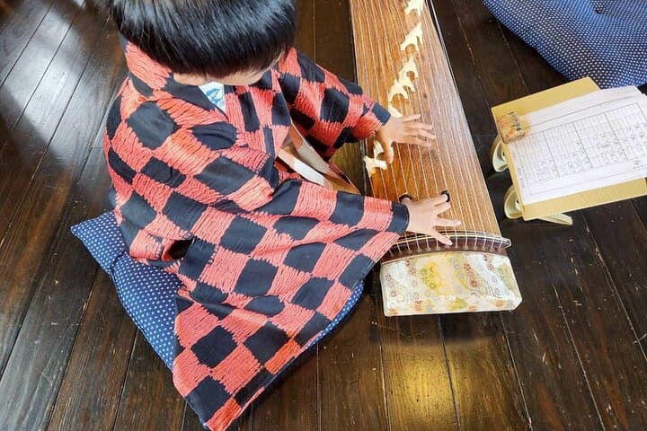 Authentic Koto Experience in Odawara Castle Town (Near Tokyo) — photo 3
