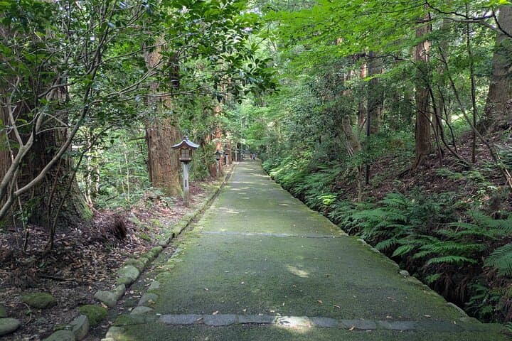 1 Day Tour from Kanazawa Tedori Gorge White Road and Shirakawa Go — photo 4