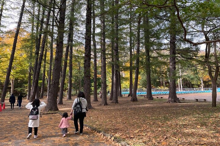 Sapporo: Hokkaido Shrine Tour with Rituals, History & Sweets — photo 8