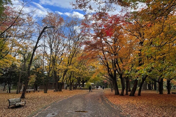 Sapporo: Hokkaido Shrine Tour with Rituals, History & Sweets — photo 10