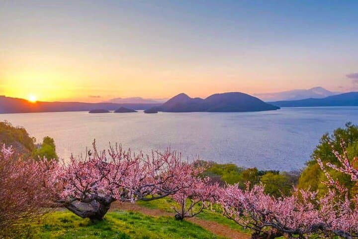 Noboribetsu Hell Valley, Mount Usu & Lake Toya Sightseeing Tour — photo 13