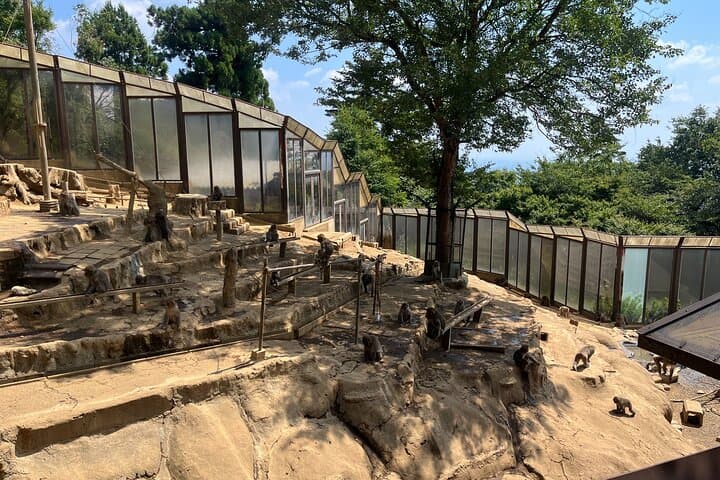 Tokyo’s Mt. Takao Hike — photo 9