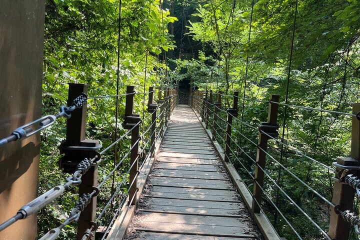 Tokyo’s Mt. Takao Hike — photo 12