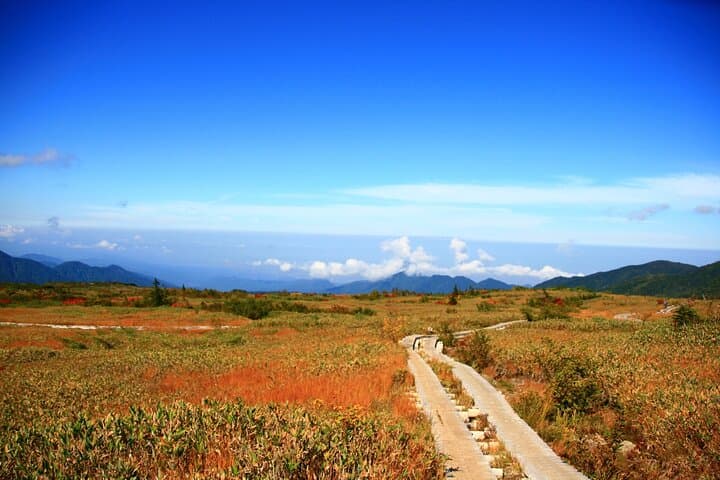 Kanazawa Day Tour: Shomyo Falls & Tateyama Mountain Walks — photo 2