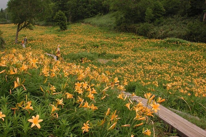 Kanazawa Day Tour: Shomyo Falls & Tateyama Mountain Walks — photo 5